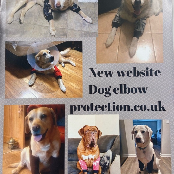 New Dog Cushioned Elbow Pads/ Protectors, Size L/XL - Picture 4 of 5